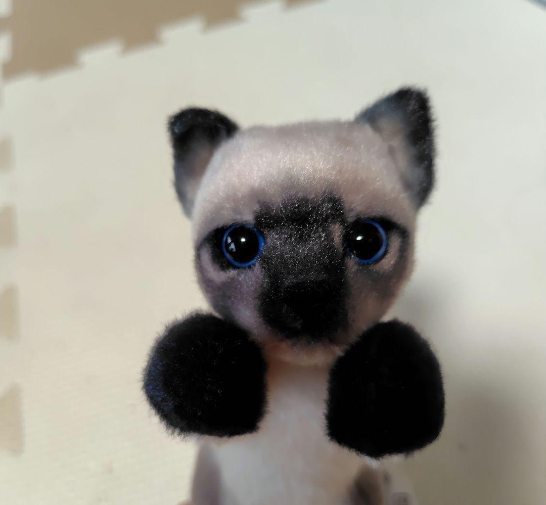 たっちぃZOO にゃんこ 自立ぬいぐるみ シャム猫 ３匹セット 新品タグ付き Amazon.co.jp: たっちぃzooにゃんこ たっちいzoo シャム猫 猫