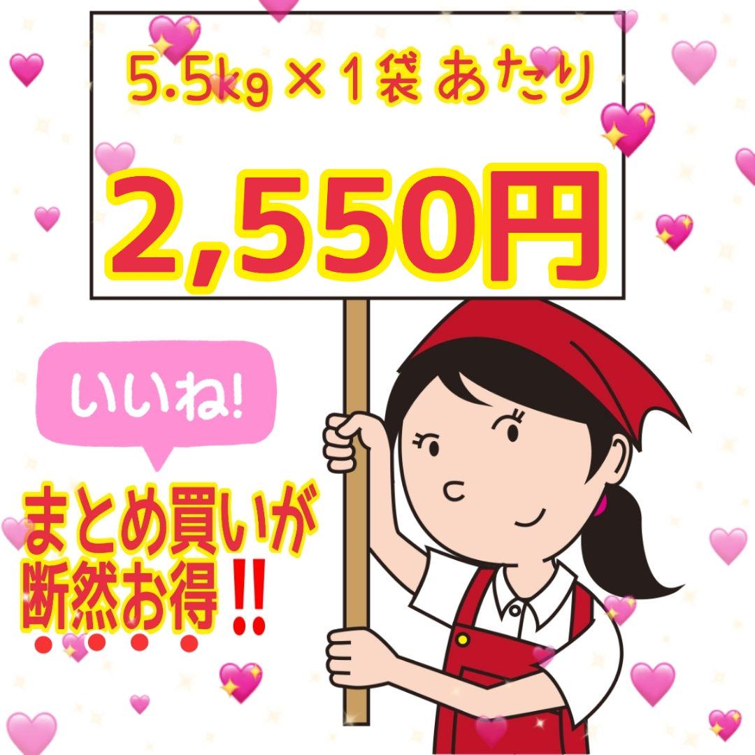 ☆新米☆令和５年産★青森県産はれわたり★精白米★５kg×４袋合計２０kg送料込み