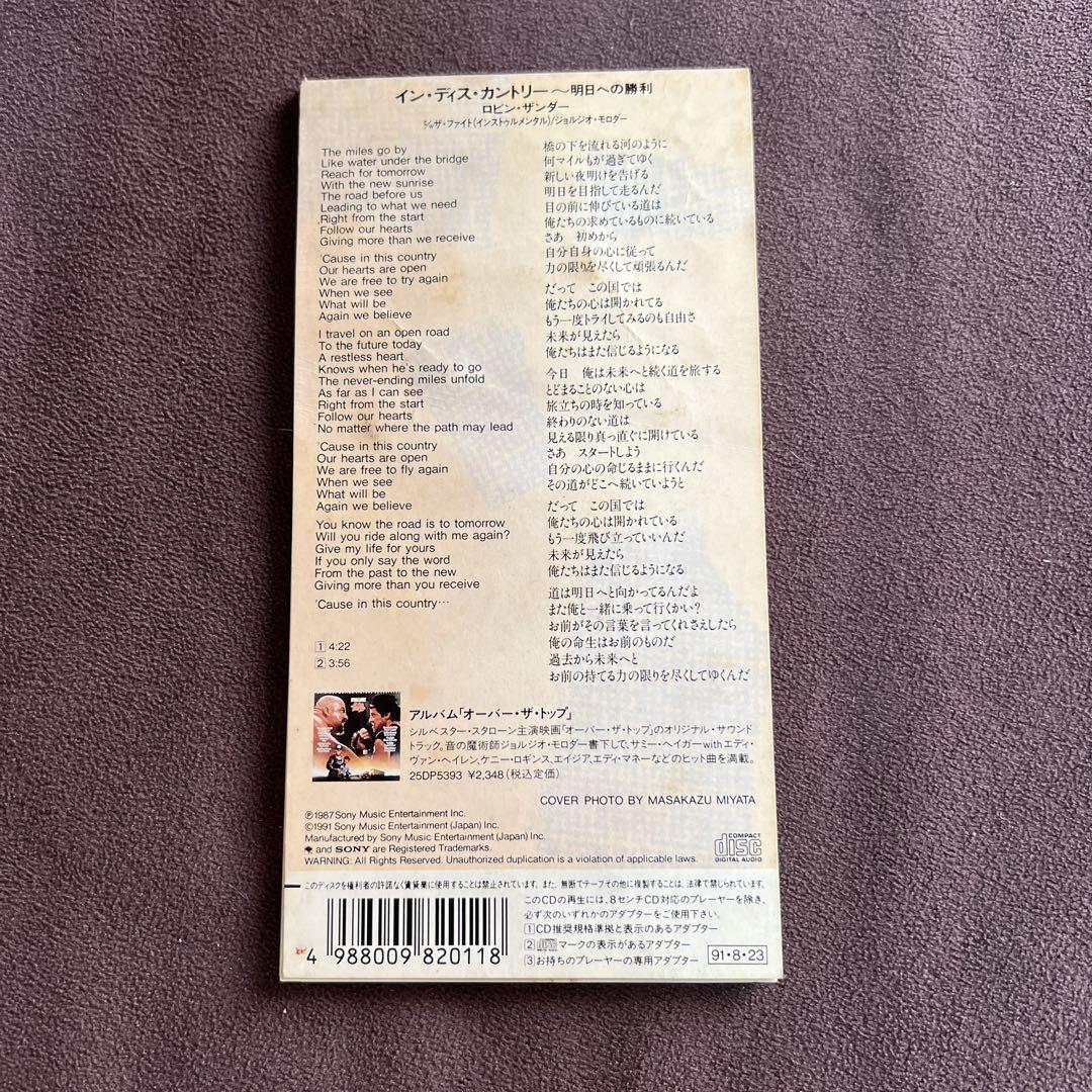 IN THIS COUNTRY〜明日への勝利〜/ロビン・ザンダー シングルcd