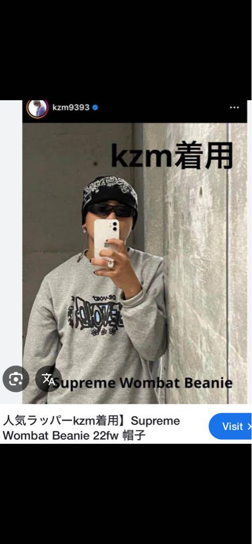 帽子 Supreme Punkandyo Beanie wombat