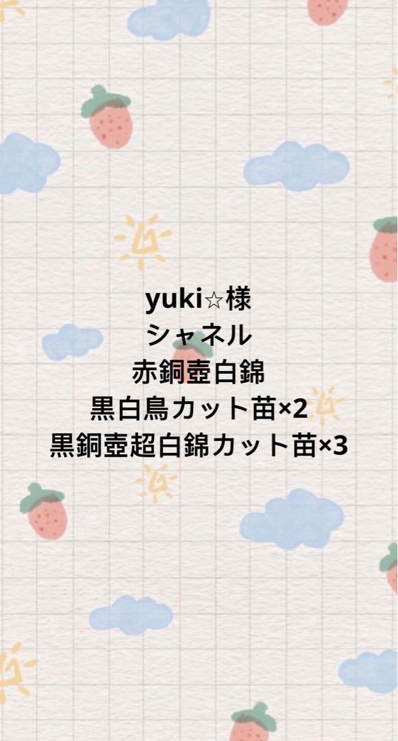 yuki⭐︎様
