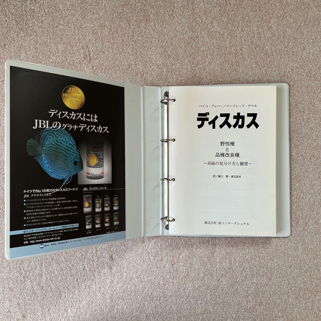 ディスカス　野生種と品種改良種　ファイル