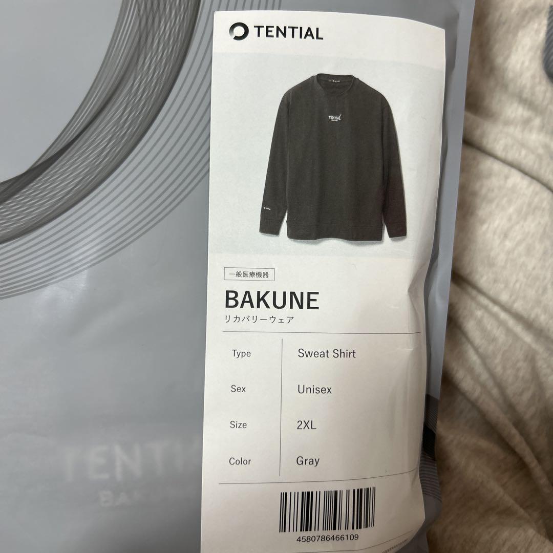 2XL グレー