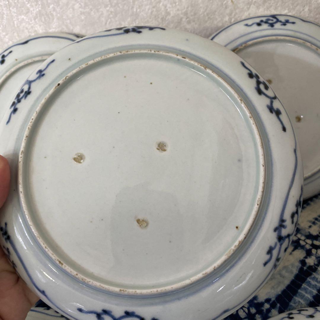 伊万里　染付皿　五枚