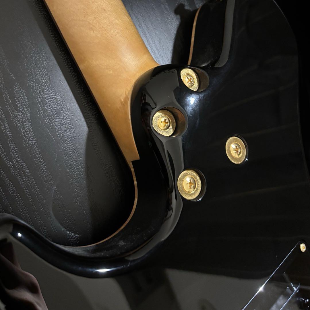 Sugi Guitars DS496 IR セミハードケース - メルカリ