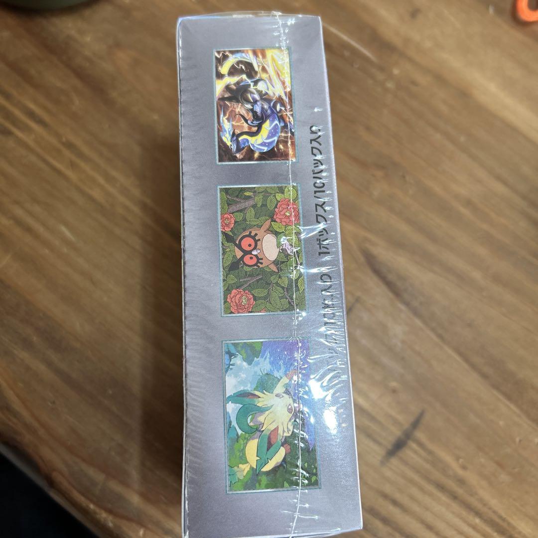 ポケモンカードゲーム テラスタルフェスex BOX 未開封