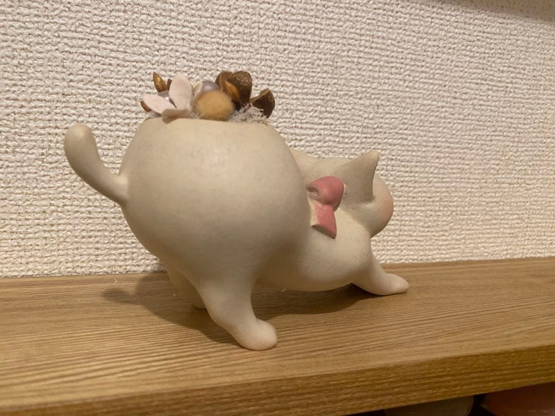 メーカー包装済】 echidna aya ワニさん にゃんこ プランター