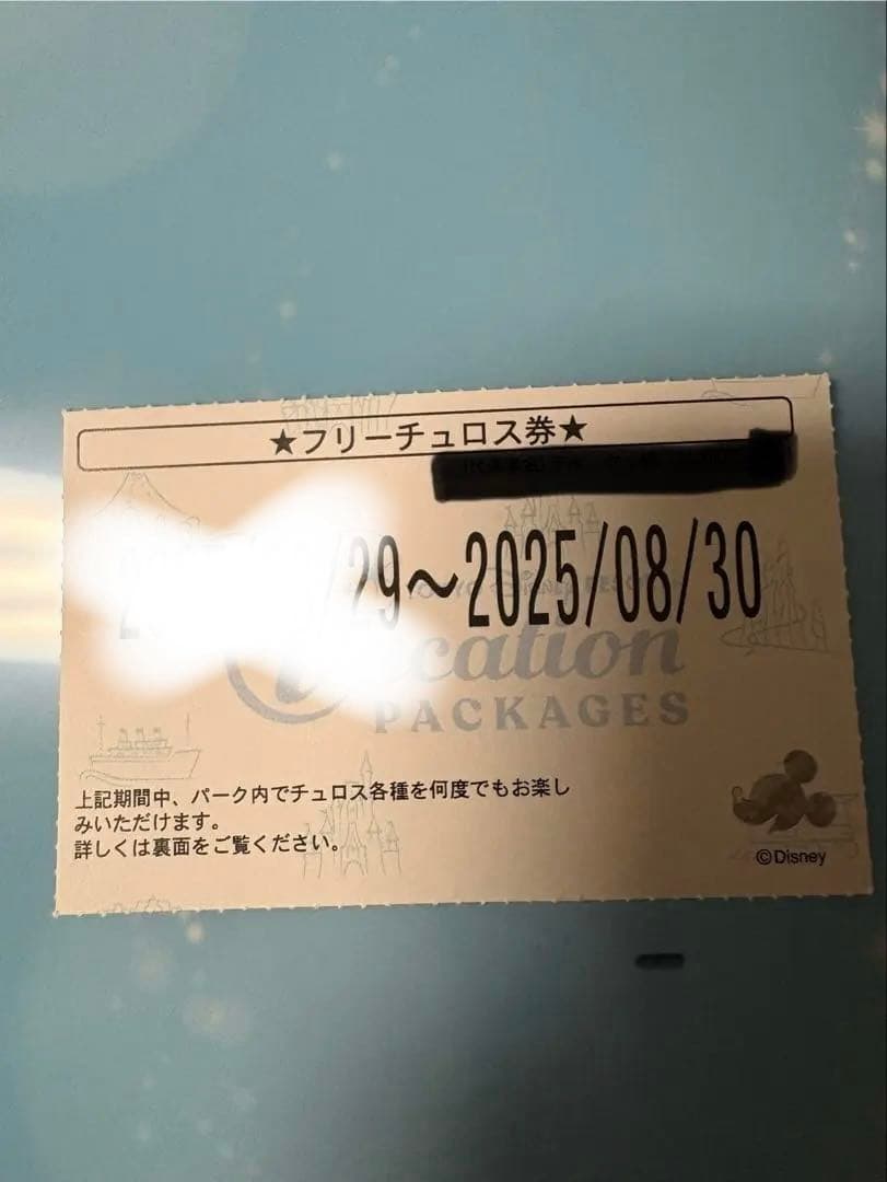 ディズニー　バケーションパッケージ　フリーチュロス券
