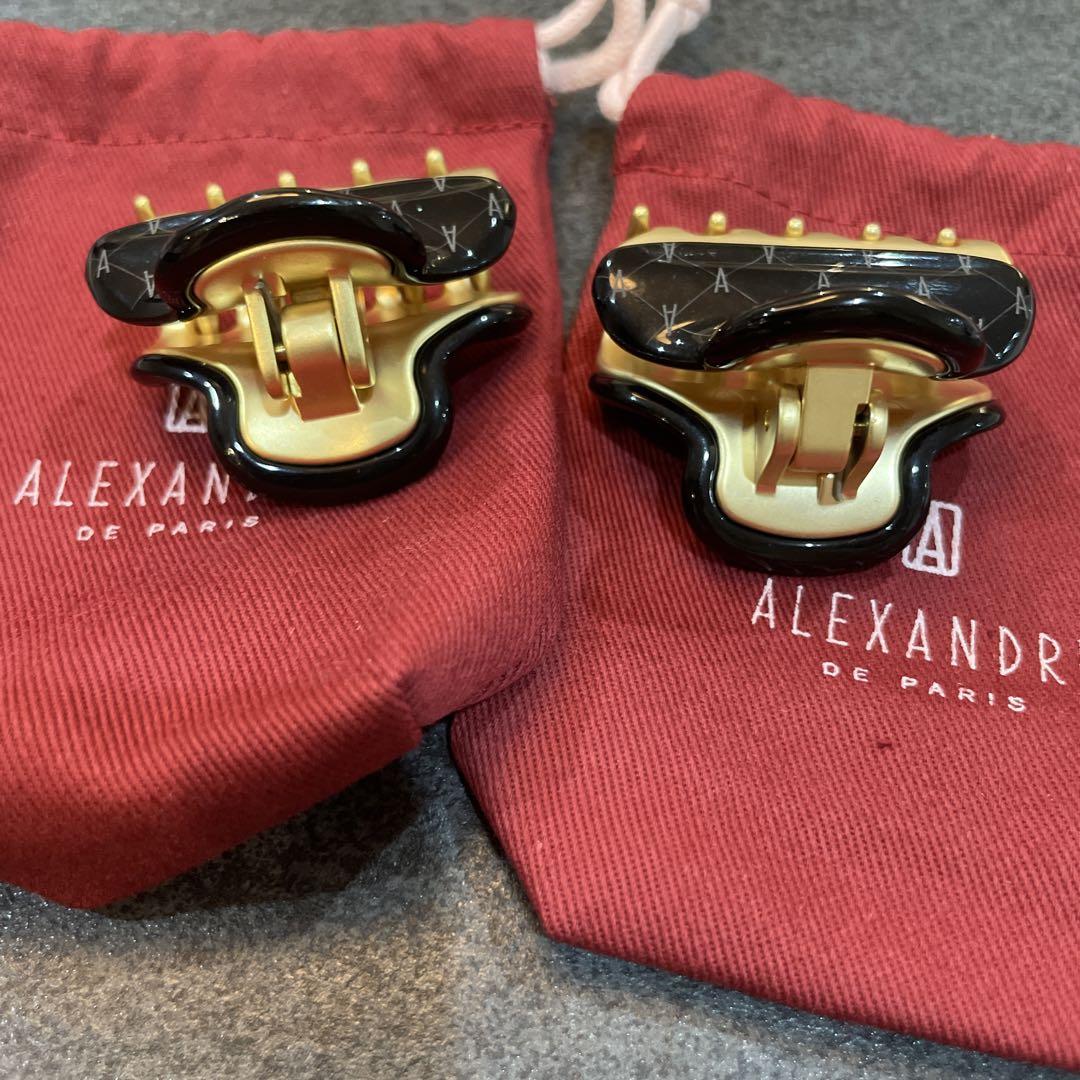 ALEXANDRE DE PARIS アレクサンドルドゥパリ ヘアークリップ