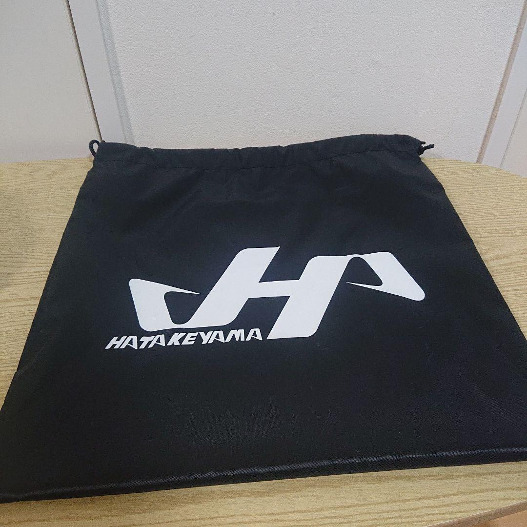 HATAKEYAMA 一般軟式用グローブ