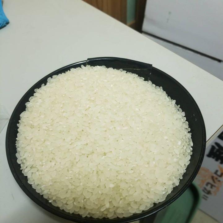特価安い 新潟県産農家直送 令和3年度 新米コシヒカリ 玄米30kg Qx4SN-m10600877620 爆買い格安