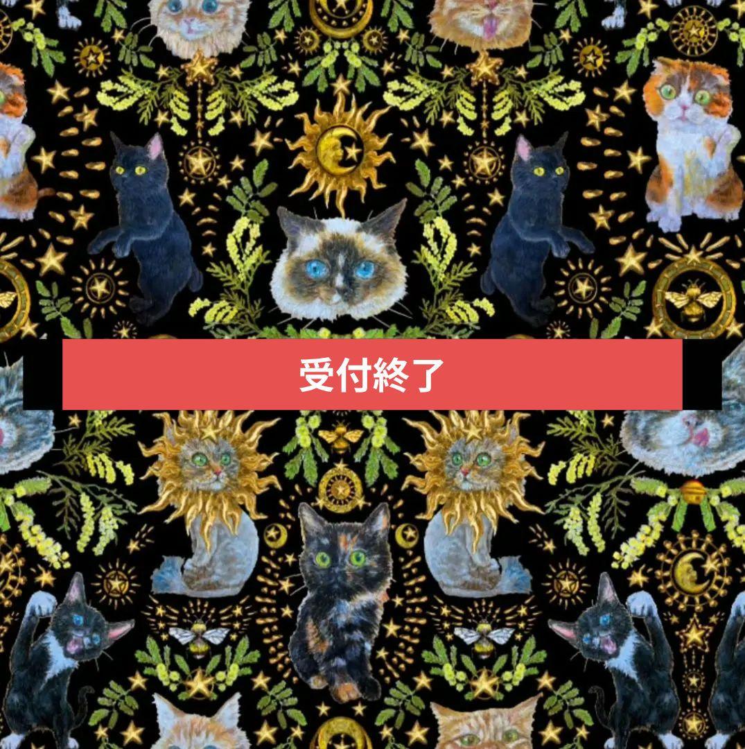 【虹猫本舗様★星月猫】