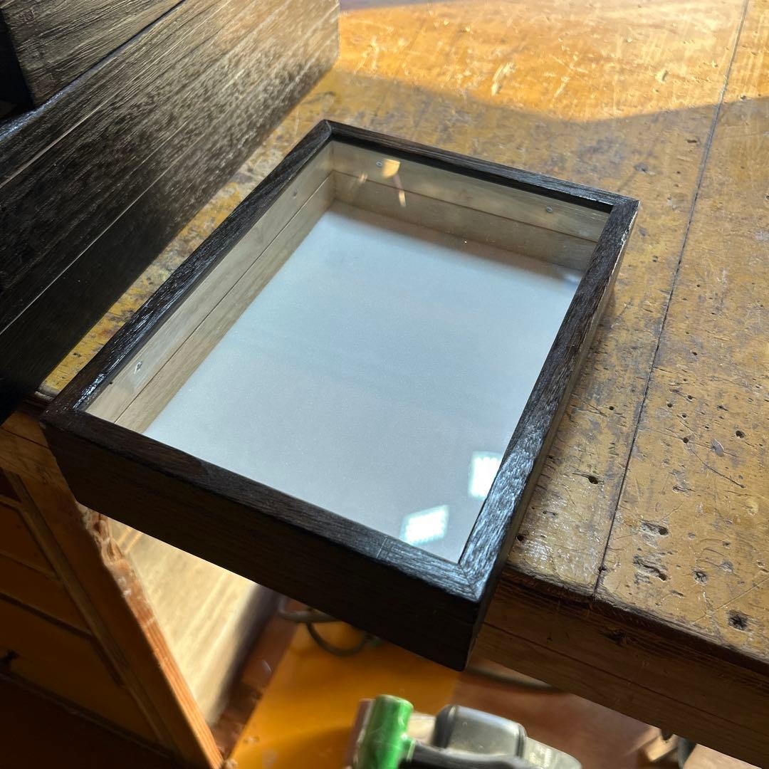 中型標本箱 6箱 中型標本箱 6箱