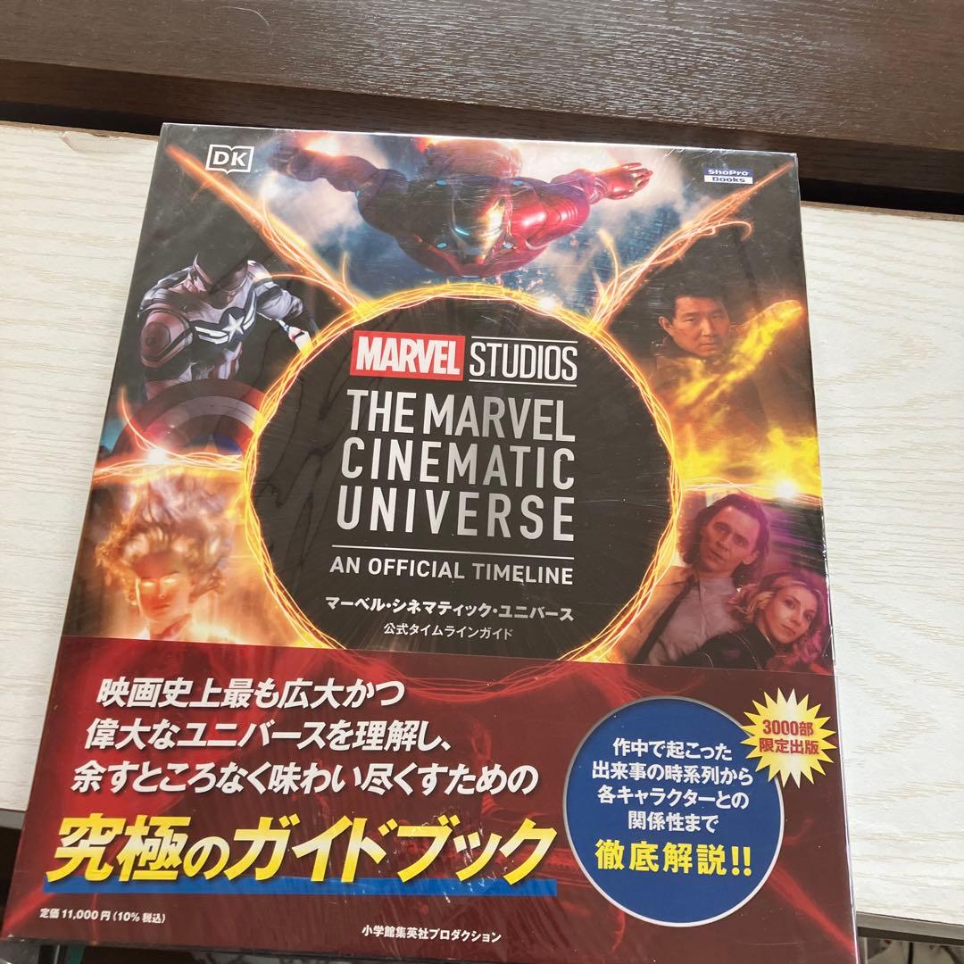 THE MARVEL CINEMATIC UNIVERSE