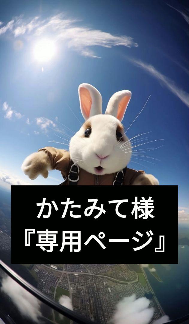 とにとに様『専用ページ』健康・医学