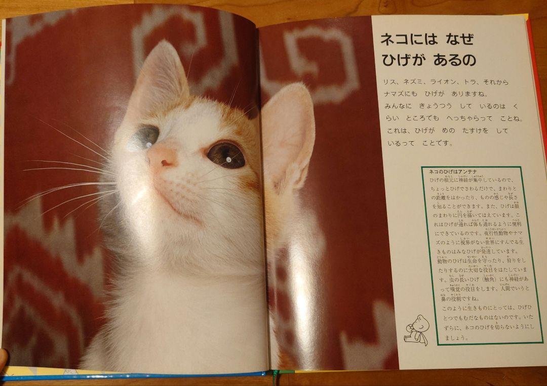 日本学校図書】家庭保育園 第4教室 なぜなにブック by メルカリ 日本学校図書】家庭保育園 第4教室 なぜなにブック by メルカリ