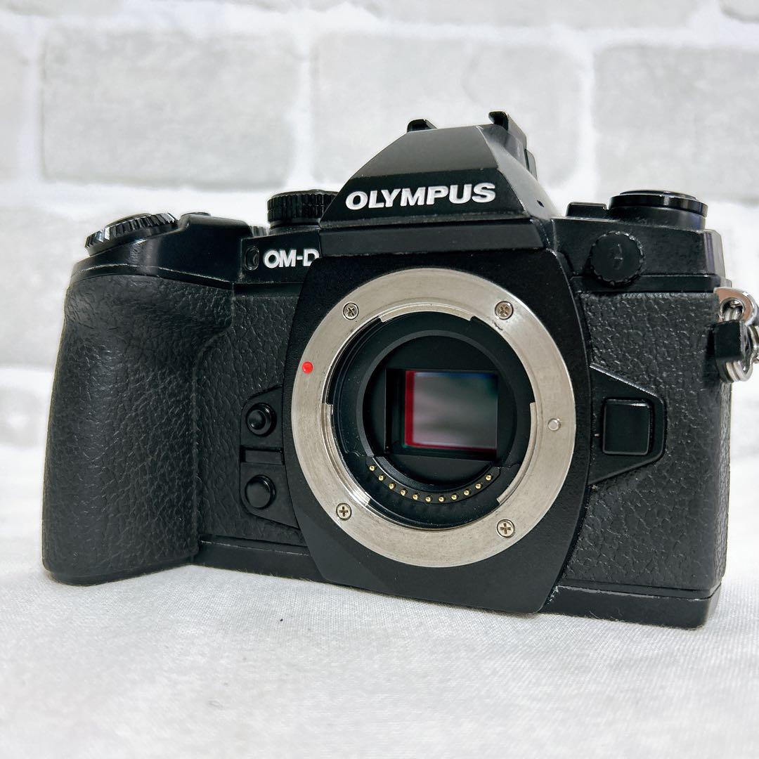 ✨【OLYMPUS ミラーレス一眼 OM-D E-M1 BODY（ブラック）】✨