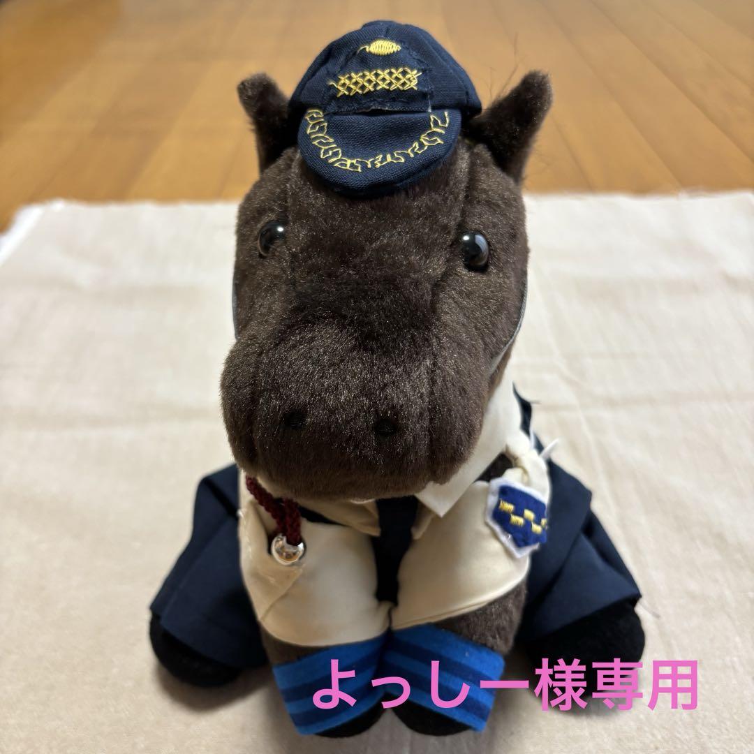 アイドル❣️ホース❣️ドレス❣️マント❣️
