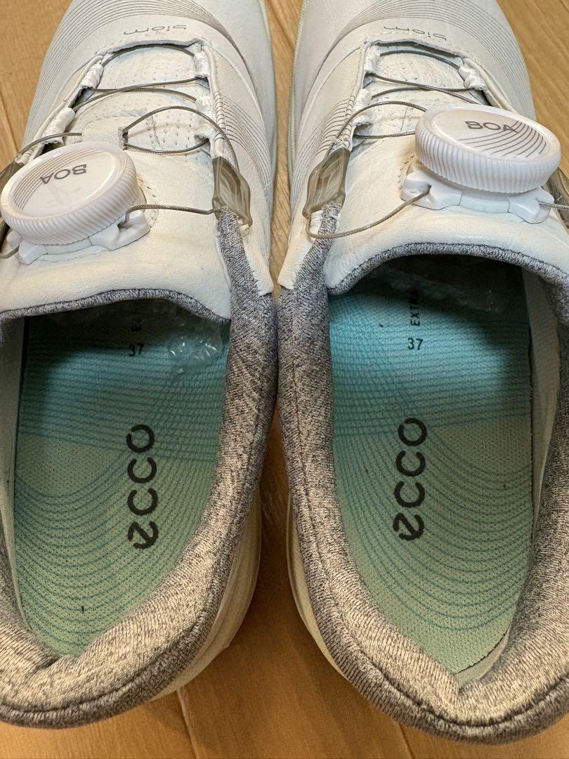 Ecco ゴルフシューズ 37 ホワイト　23.5 エコー