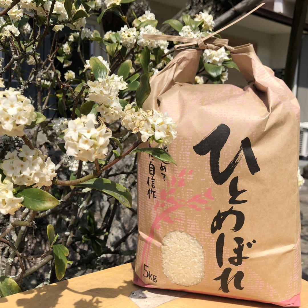 【送料無料】 令和6年産 新米『ひとめぼれ』20Kg