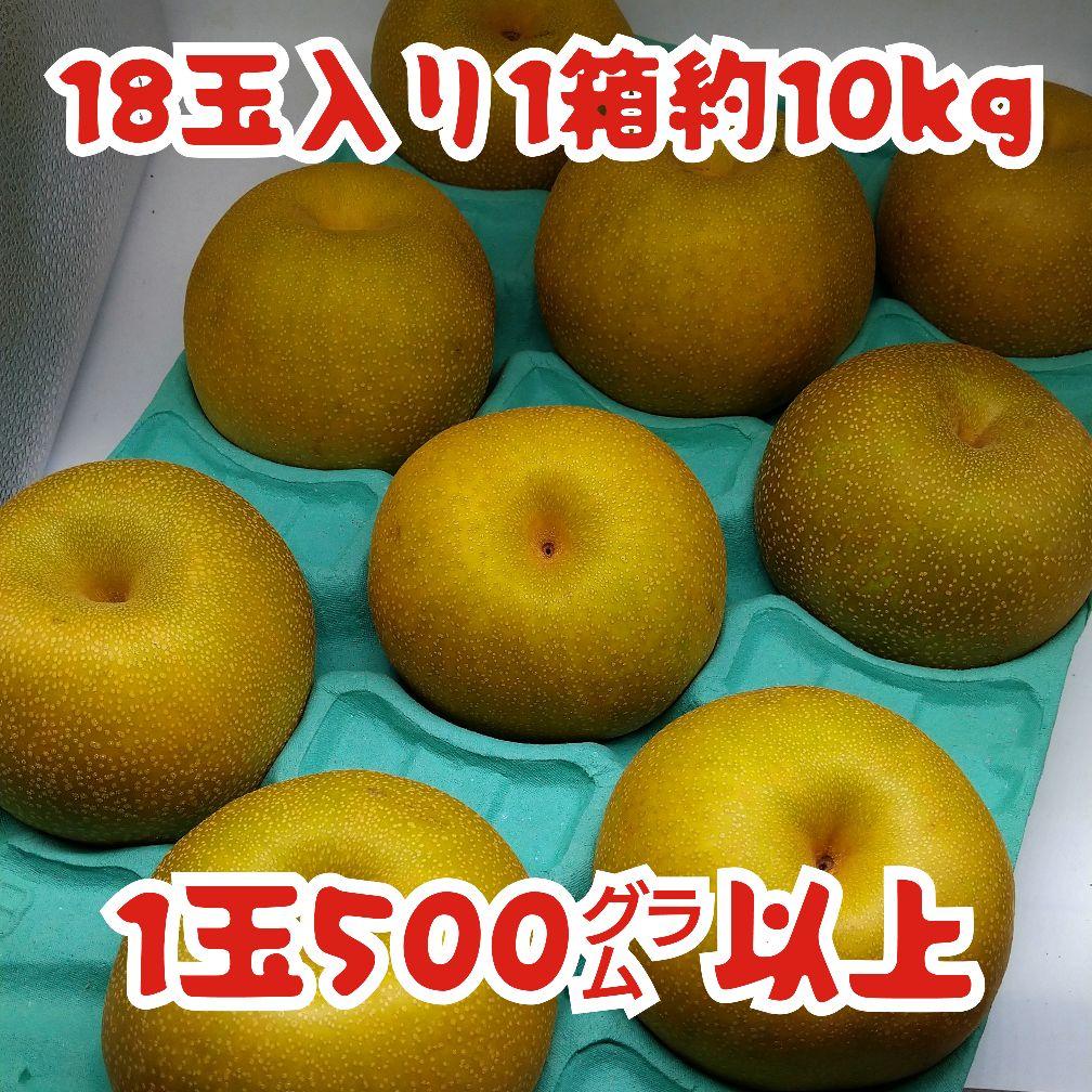 千葉県産★【秀品】幸水梨★18玉10kgお得