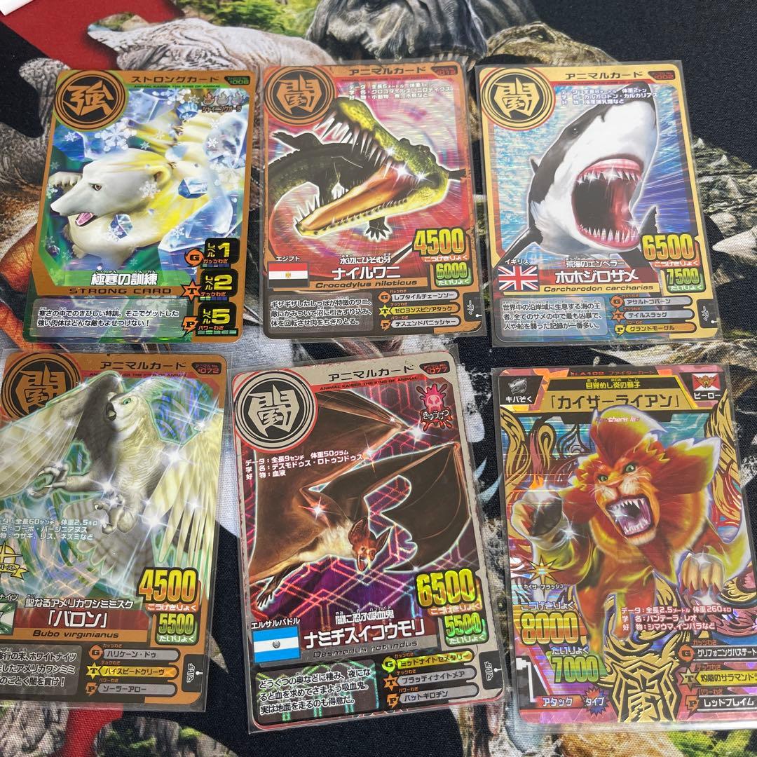 百獣大戦アニマルカイザー　30枚セット