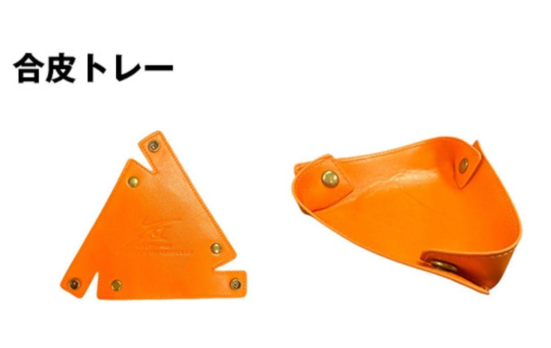 低価格 未開封 長渕剛グッズ 長渕剛ファンクラブ特典 SONG POWER IS ギター