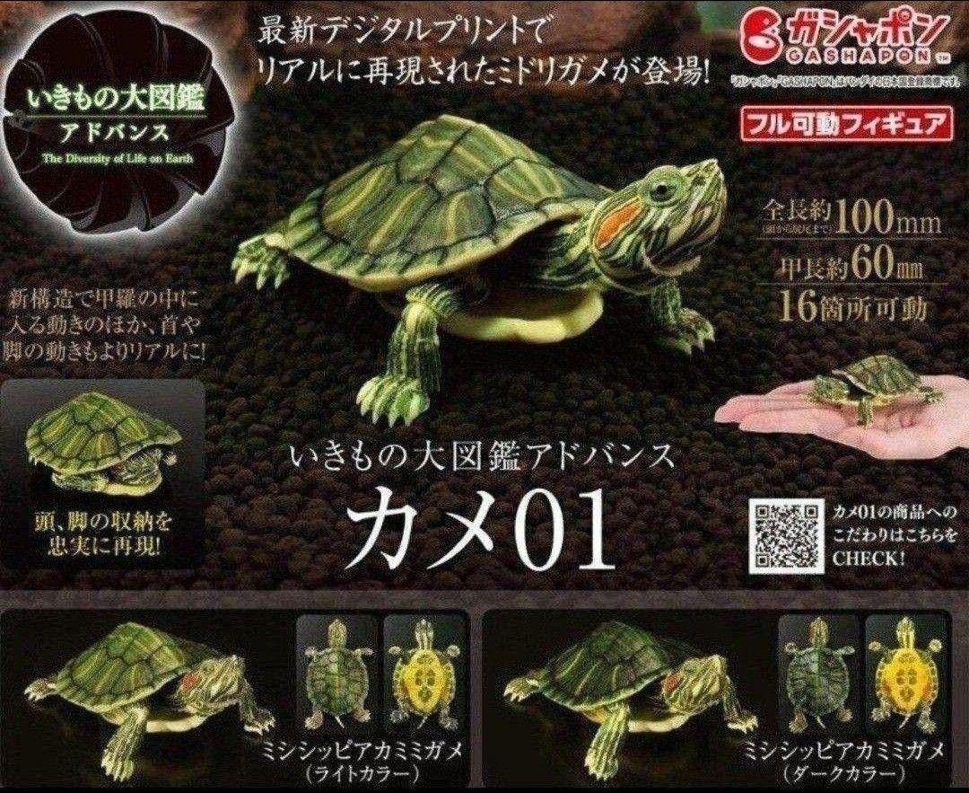 田脇文乃 いきもの大図鑑 カメ01、02　3体セット