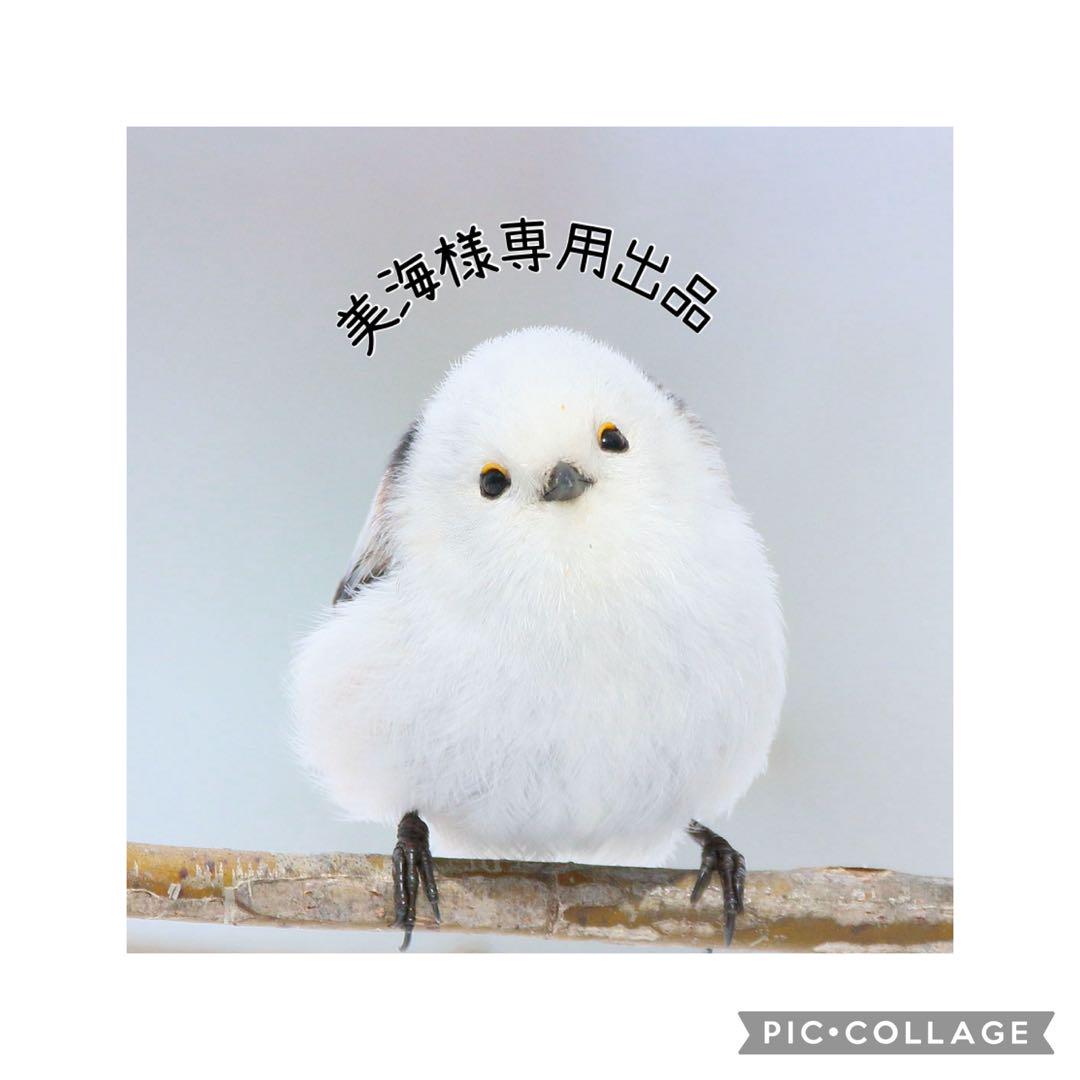 美海様専用出品