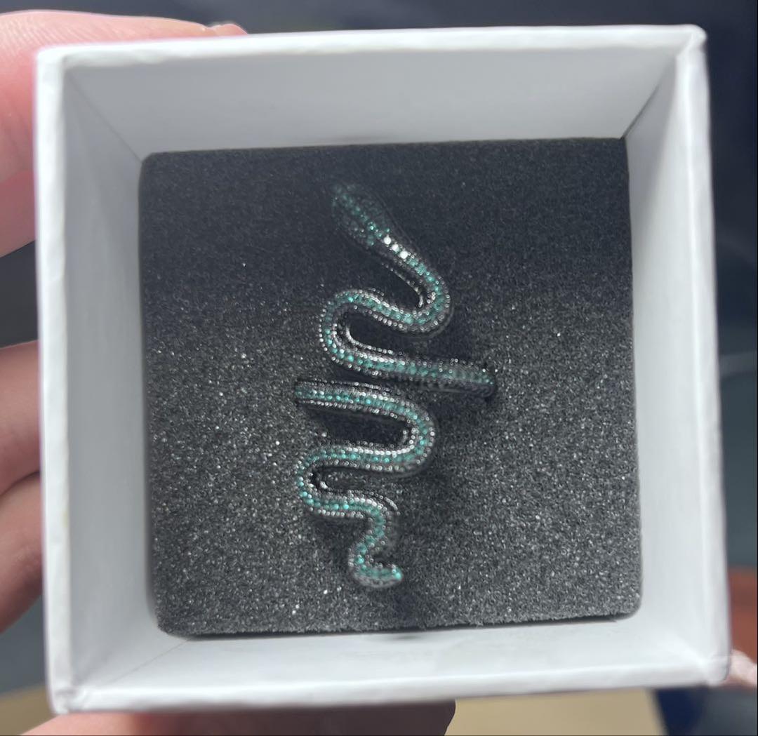 Taylor Swift reputation スネークリング　黒 Taylor Swift Snake Ring Reputation Album Adjustable