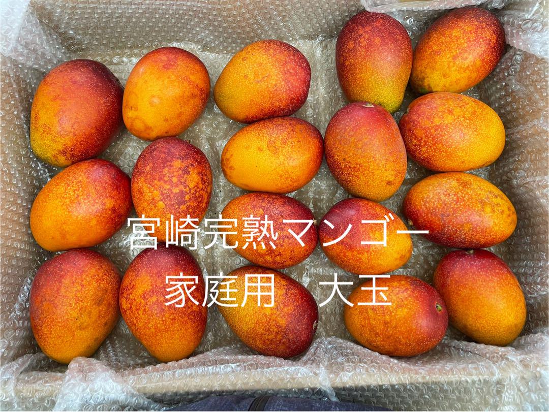 【超お得】宮崎県産 完熟マンゴー 大玉　18玉　10㌔