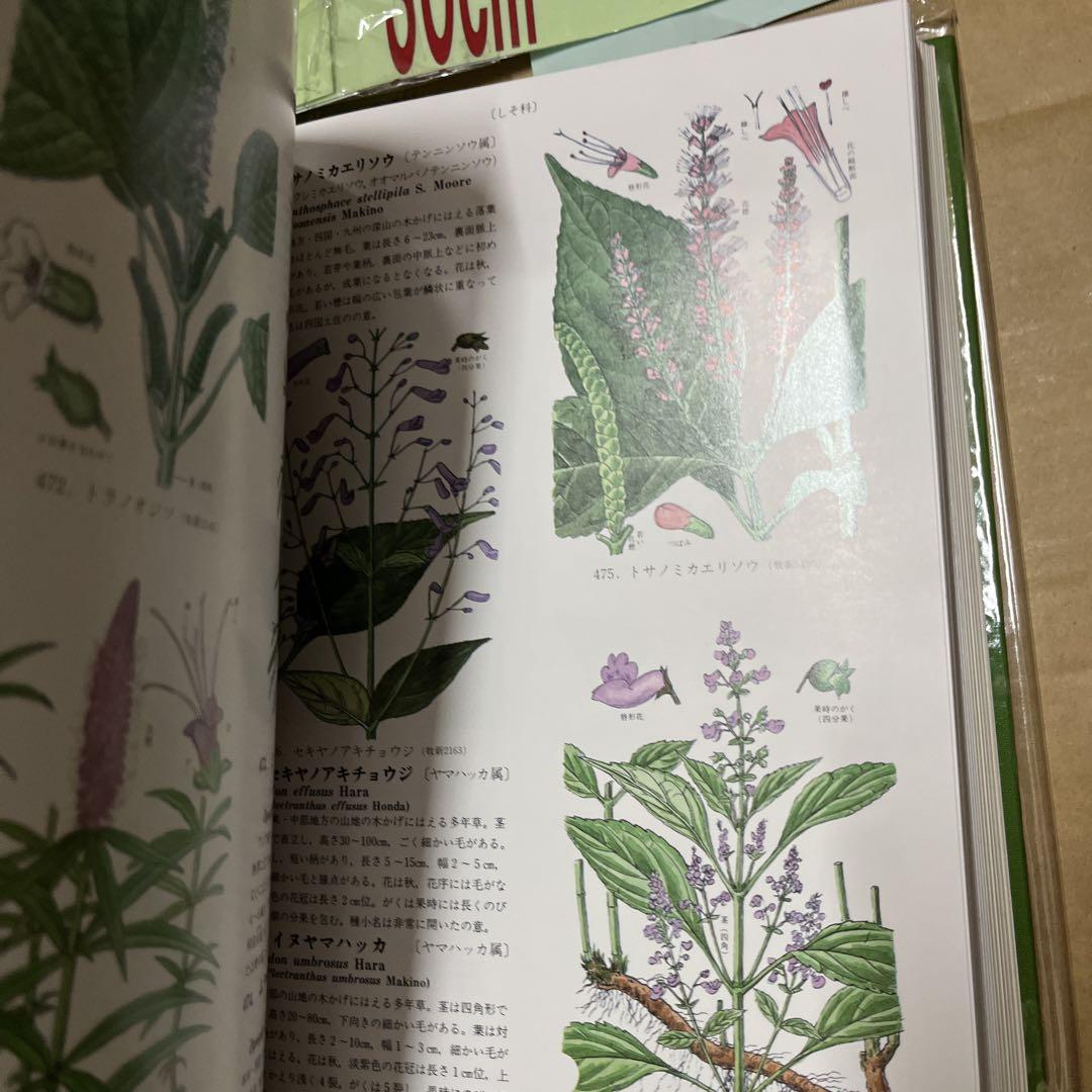 原色牧野植物大図鑑 続編 原色牧野植物大図鑑「続編」「改訂版 合弁花・離弁花編」他2冊の