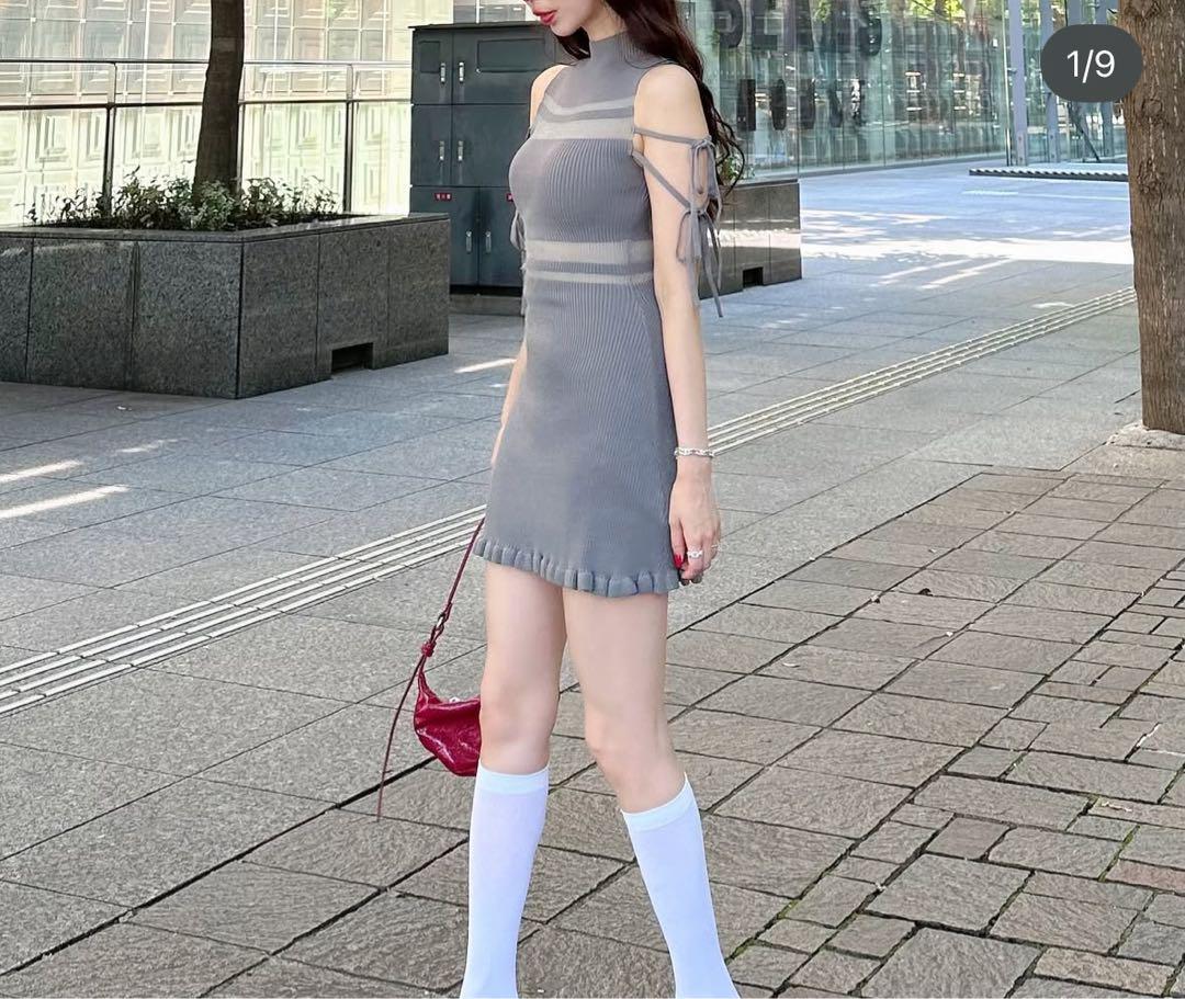 amerge sheer border ribbon onepiece