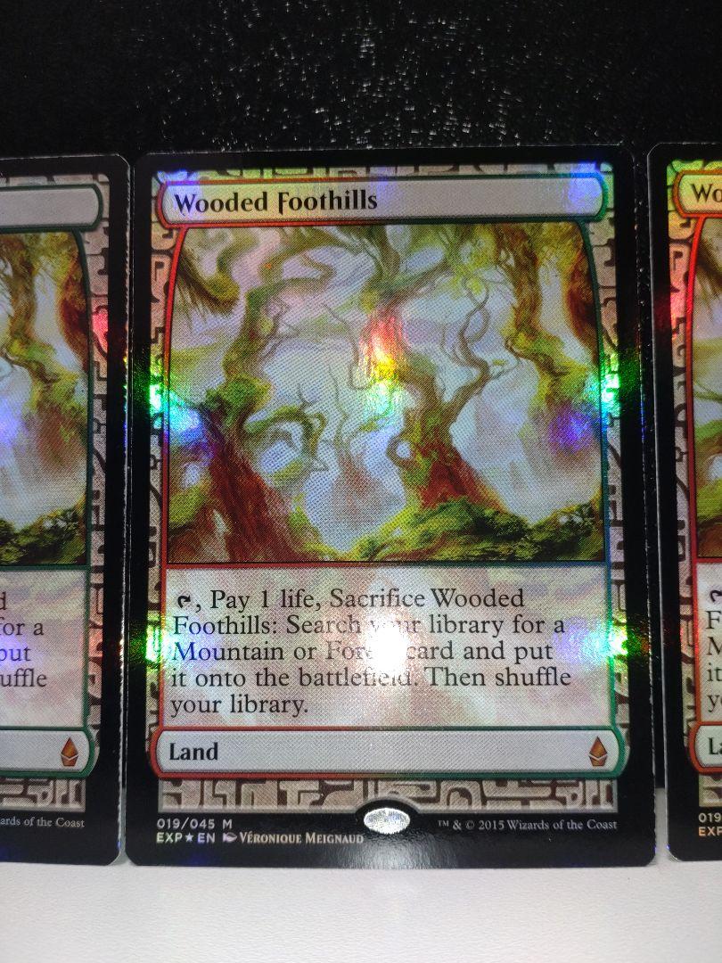 MTG 樹木茂る山麓 Zendikar Expeditions EXP Foil