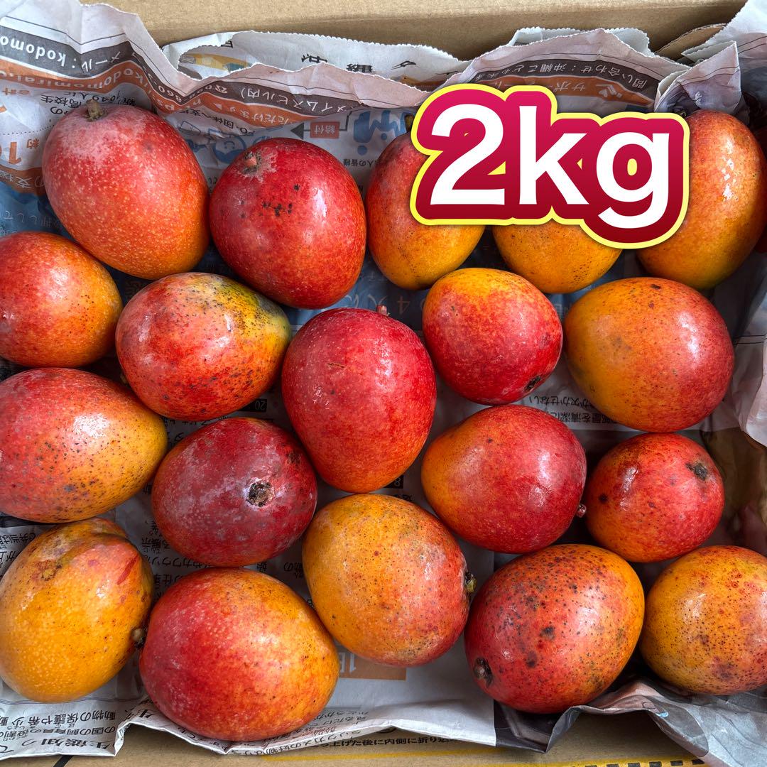 沖縄県産 完熟アップルミニマンゴー2kg