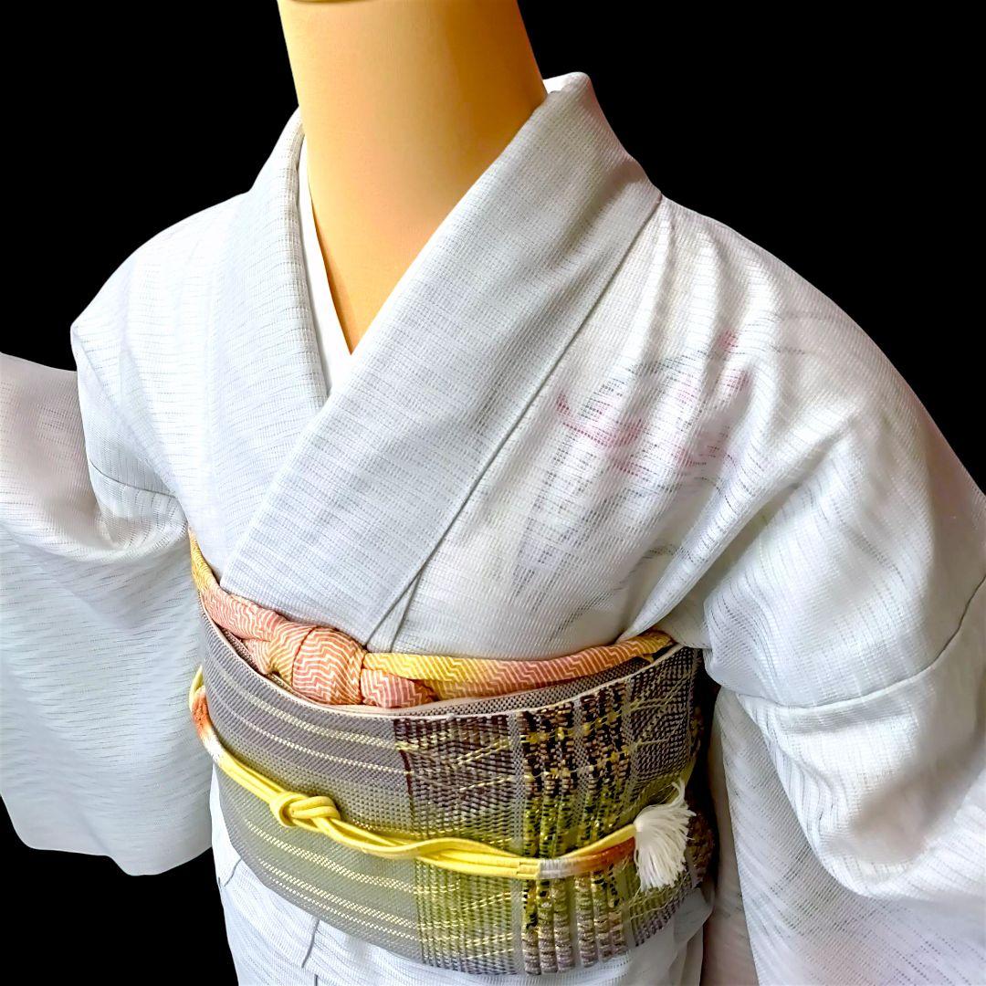 よろずや特選♢稀少な紗袷訪問着♢可憐な杜若柄♢コレからの季節