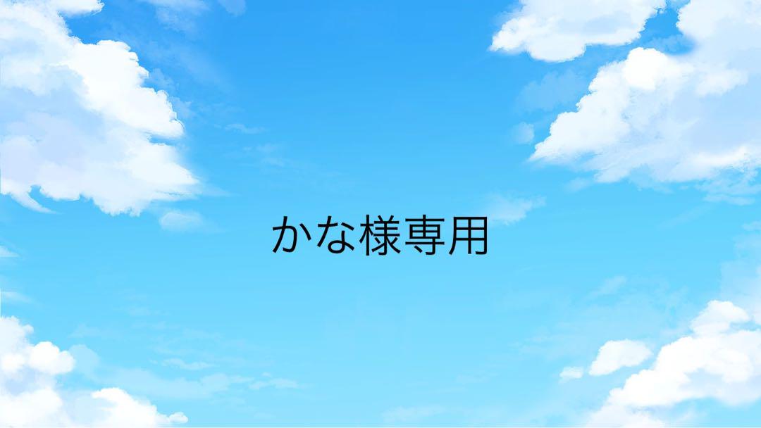 かな様専用　5箱