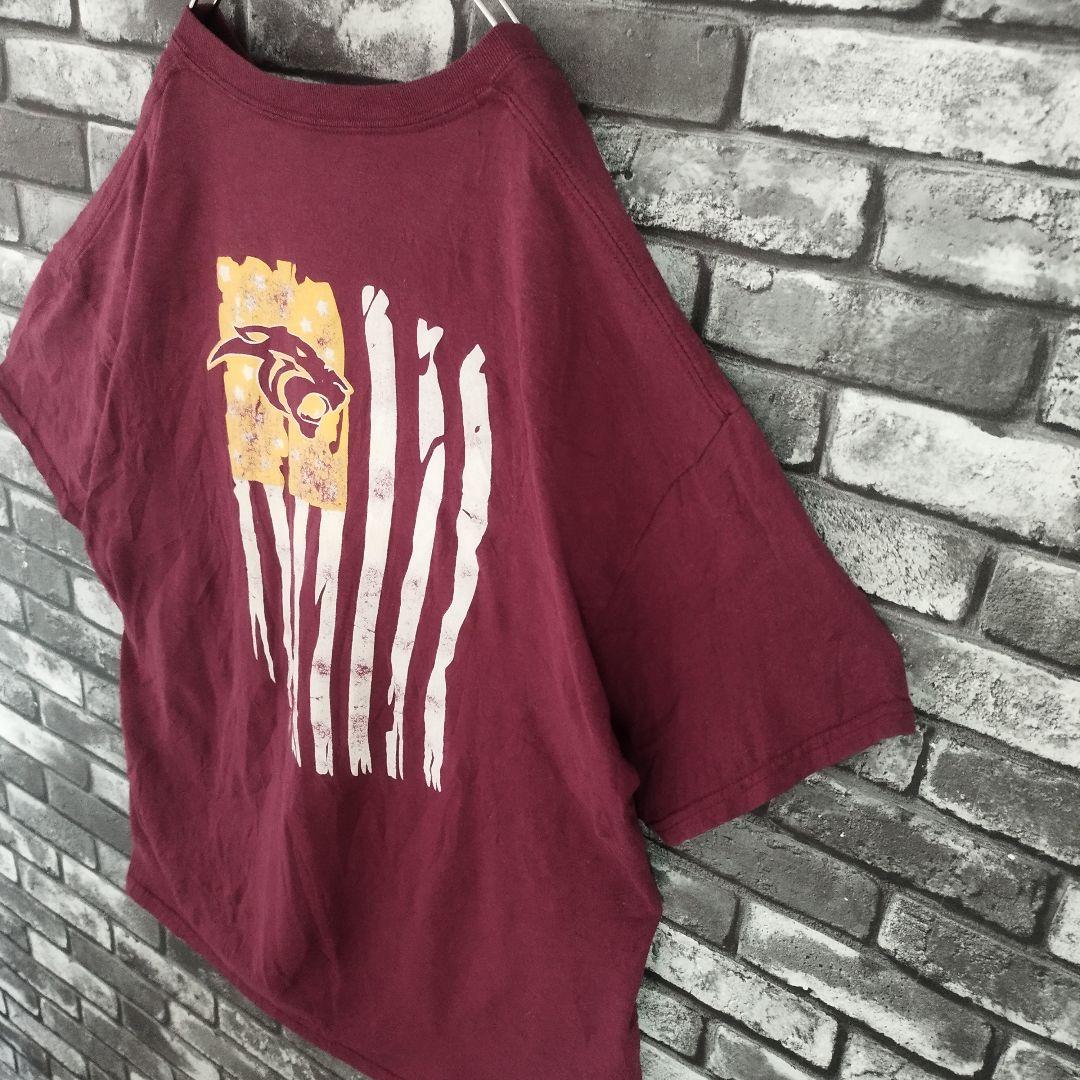 アメリカ合衆国 パンサーズ ビッグロゴ 星条旗 カレッジ Tシャツ tシャツ