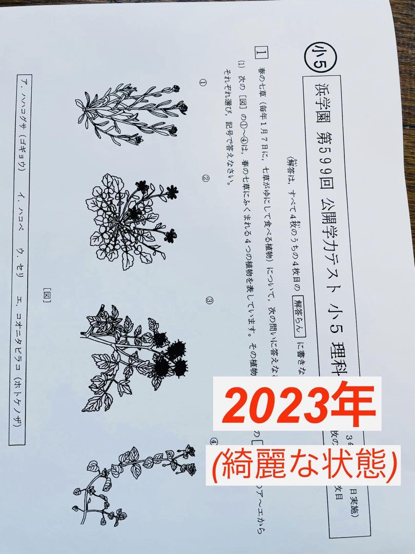 林檎