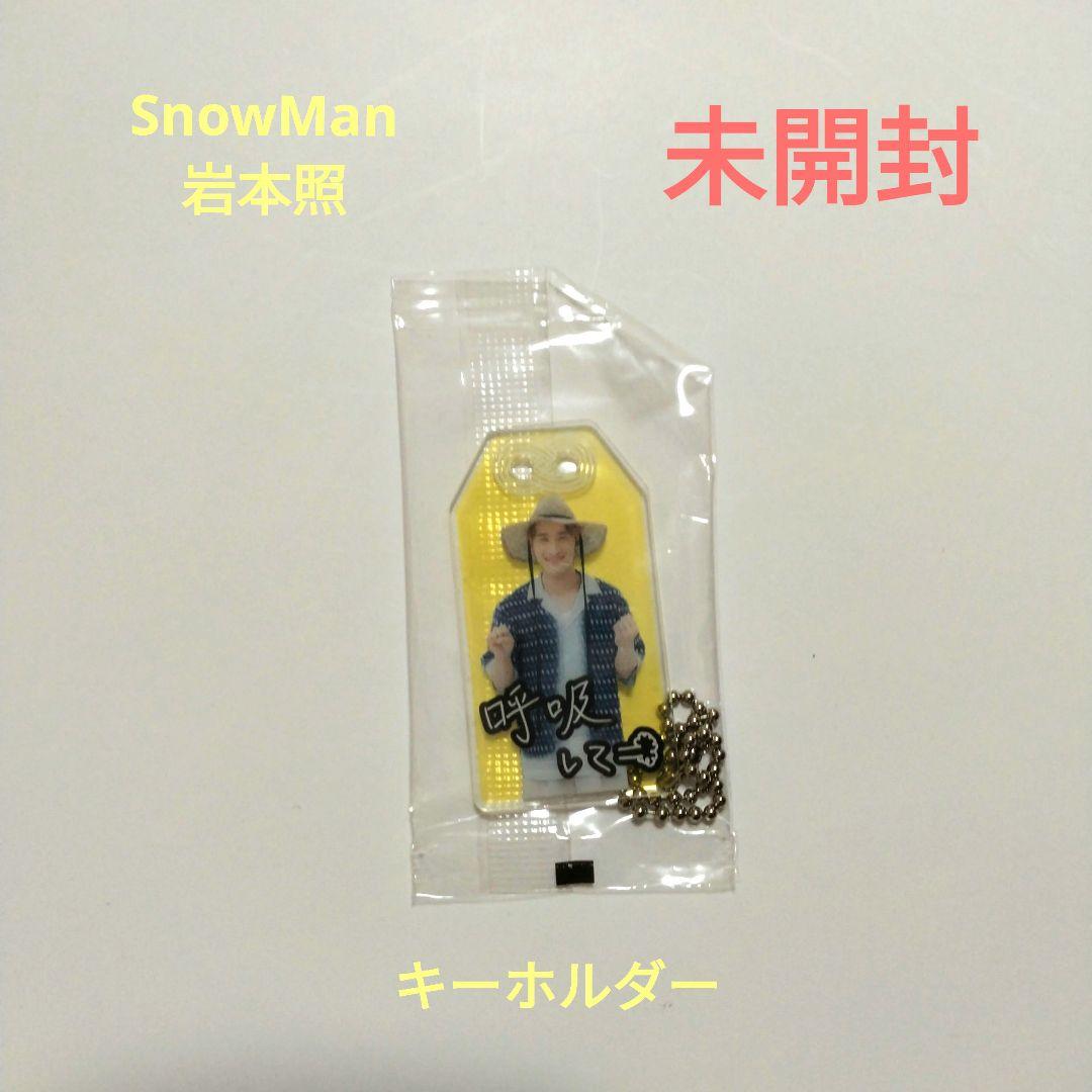 岩本照　スノチル　未開封 未開封】 岩本照 すのチルぶら下がらないシリーズ BIGぬいぐるみ