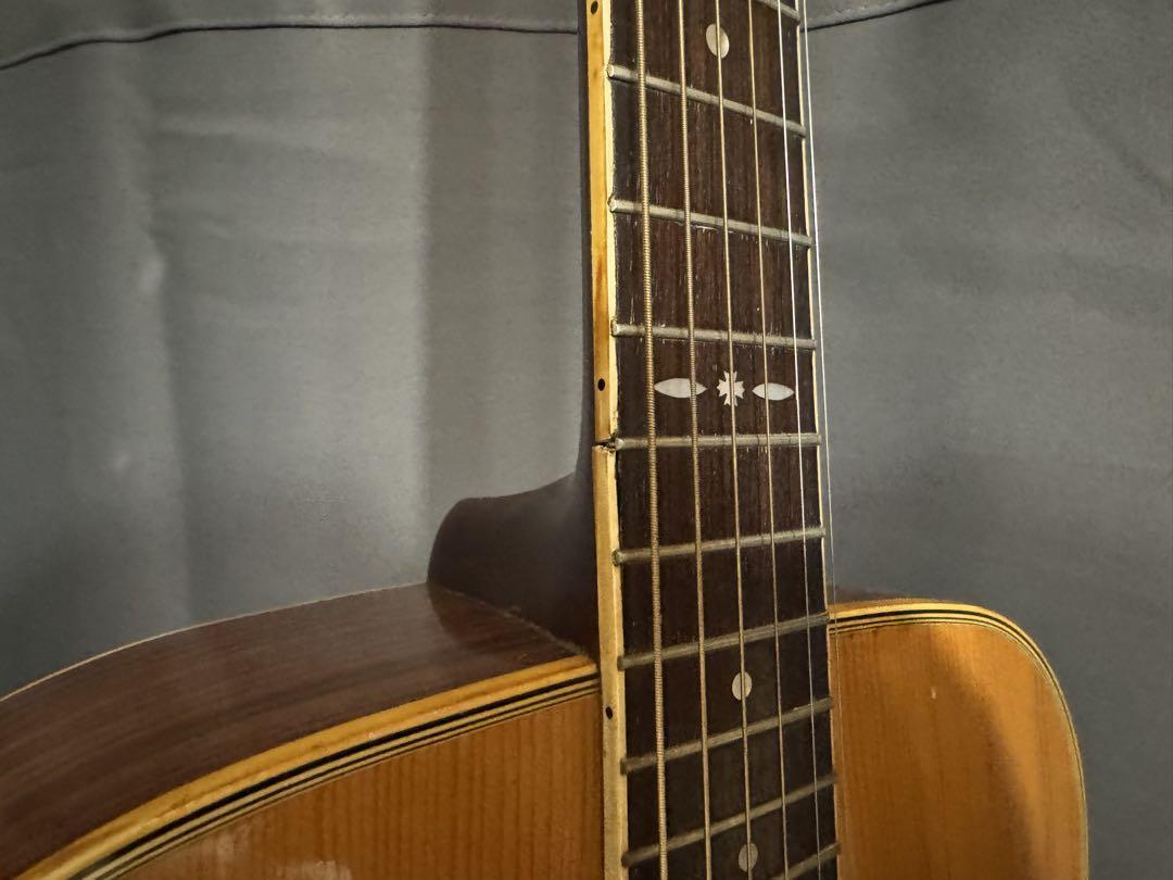 Cat's eyes CE-250 アコースティックギター tokai