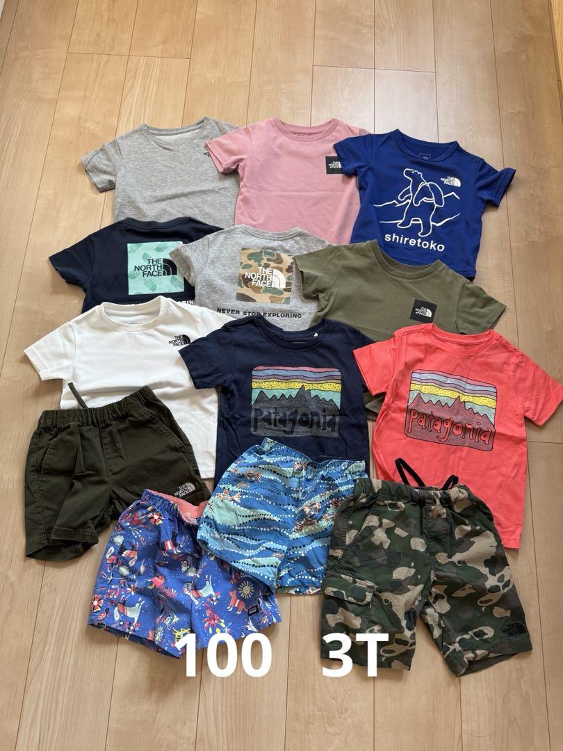 THE NORTH FACE ノースフェイス　Patagonia 100