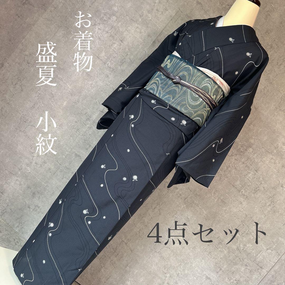 夏帯　夏着物　正絹　ヤマト謹製　フルセット　絽　紗　盛夏　k1 蛍　蛍ぼかし