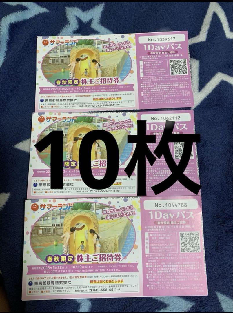 東京サマーランド 1Dayパス 株主ご招待券10枚セット