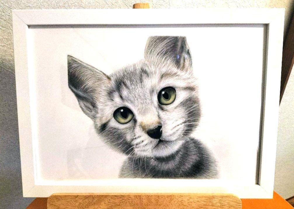 作品名: 猫 /色鉛筆画 /ケント紙 /B5サイズ /原画