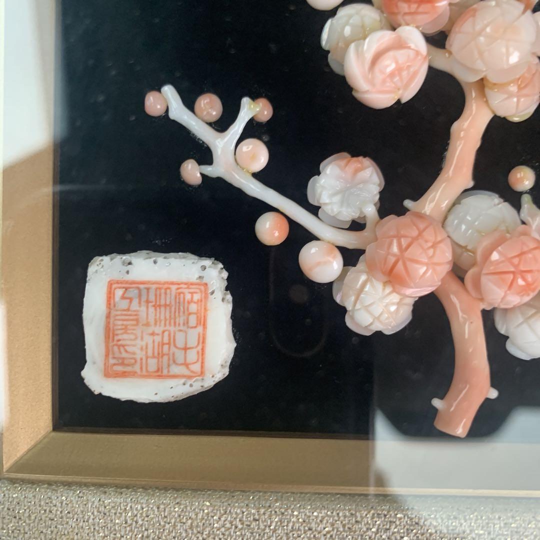 剥製 白珊瑚