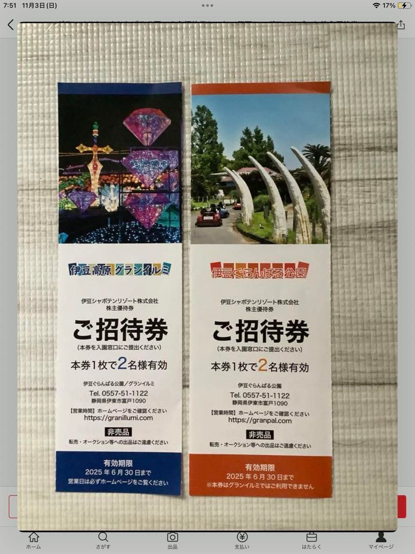 グランイルミu0026ぐらんぱる公園　２名招待券セット　伊豆シャボテンリゾート株主優待券