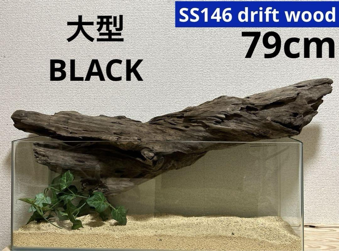 SS146 あく抜き流木、爬虫類、パルダリウム、シェルター、インテリア Amazon.co.jp: 161 あく抜き流木 爬虫類シェルター パルタリウム