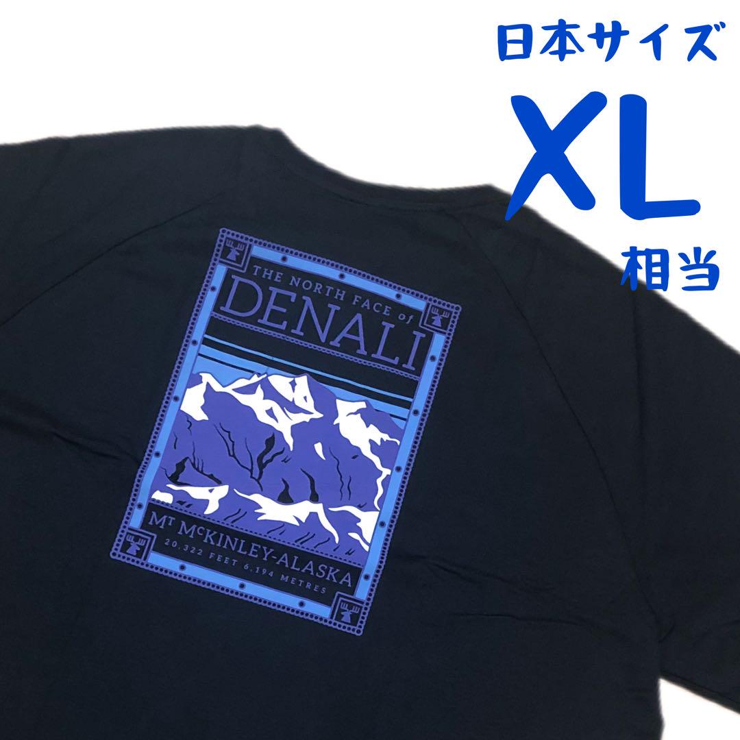 【海外限定】ノースフェイス　半袖Tシャツ　日本XL相当　A490