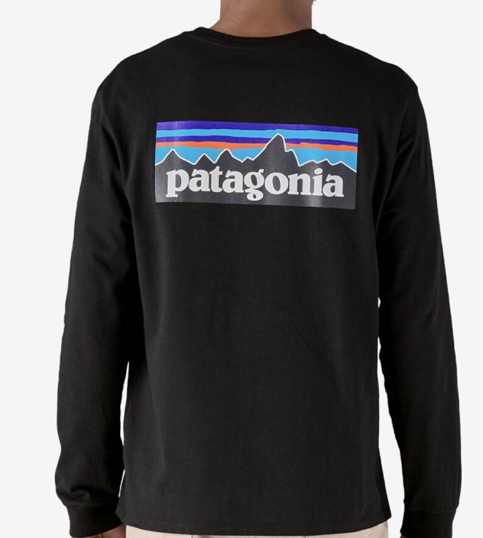 パタゴニア　メンズ　M  ロングTシャツ